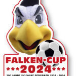 18. Falken-Cup im Willi-Bertram-Stadion