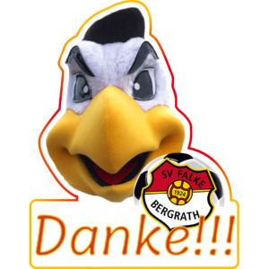 Ein falkenstarker Dank an unsere Ehrenamtler